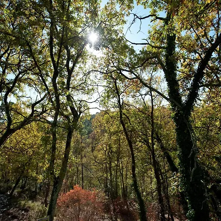 Luxury In Provence With Garden Saint-Paul-en-Foret