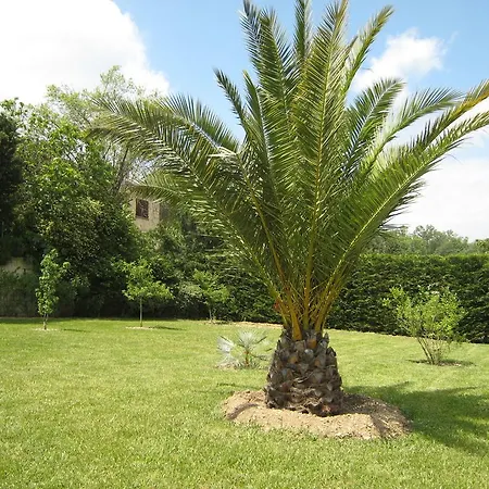 Luxury In Provence With Garden *